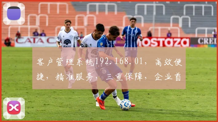 客户管理系统192.168.01，高效便捷，精准服务，三重保障，企业首选