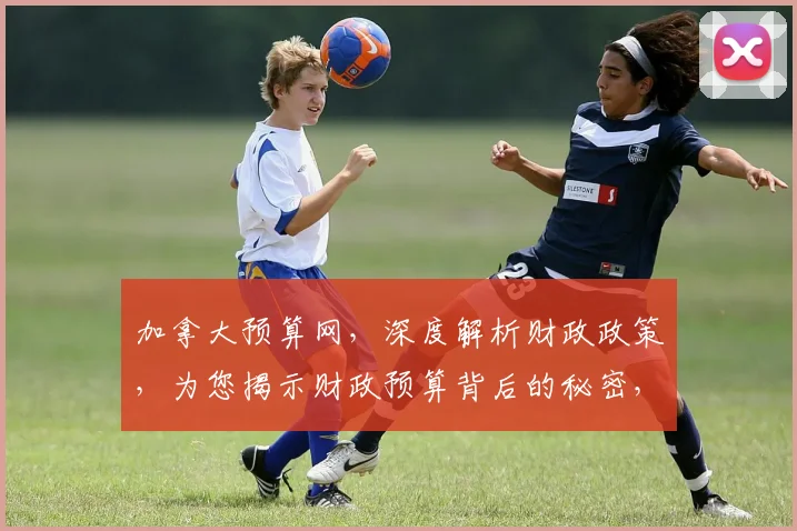 加拿大预算网，深度解析财政政策，为您揭示财政预算背后的秘密，助力理财