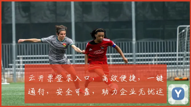 云开票登录入口，高效便捷，一键通行，安全可靠，助力企业无忧运营