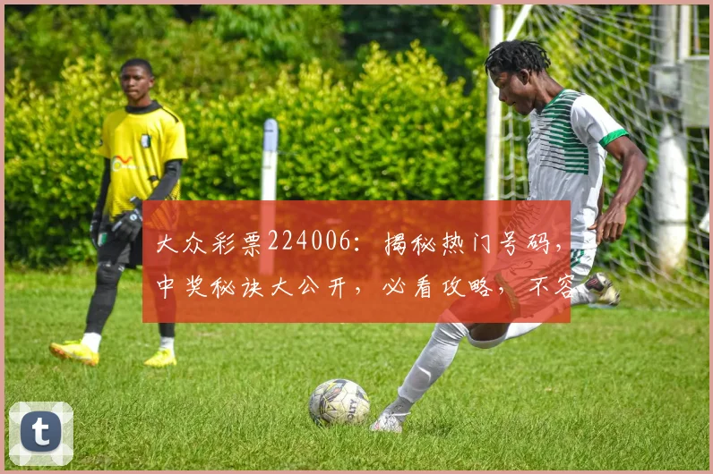 大众彩票224006：揭秘热门号码，中奖秘诀大公开，必看攻略，不容错过