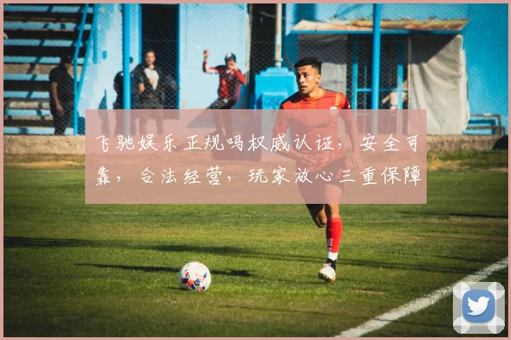 飞驰娱乐正规吗权威认证，安全可靠，合法经营，玩家放心三重保障，必看